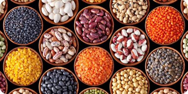 Best Edible seeds