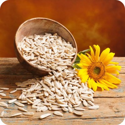 Best Edible Sunflower seeds
