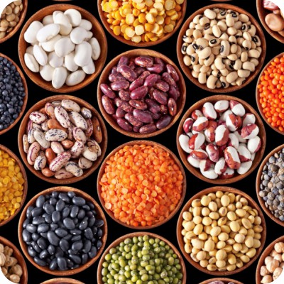 Best Edible seeds