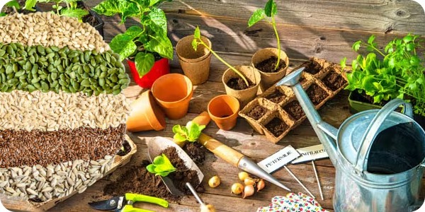 Best Home Gardening Idea